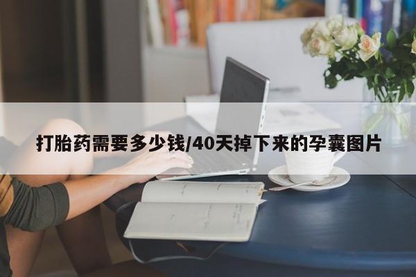打胎药专卖微信打胎药购买私人微信打胎药需要多少钱/40天掉下来的孕囊图片