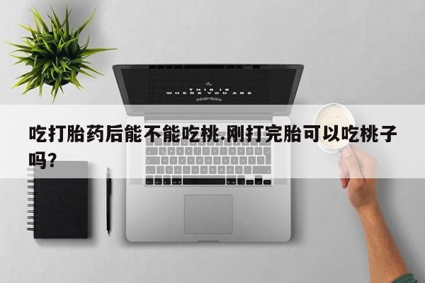 打胎药专卖微信打胎药购买私人微信吃打胎药后能不能吃桃.刚打完胎可以吃桃子吗？